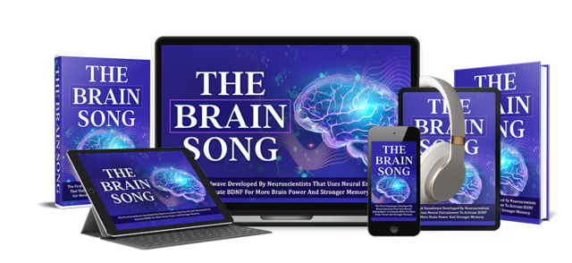The Brain Song digital program interface